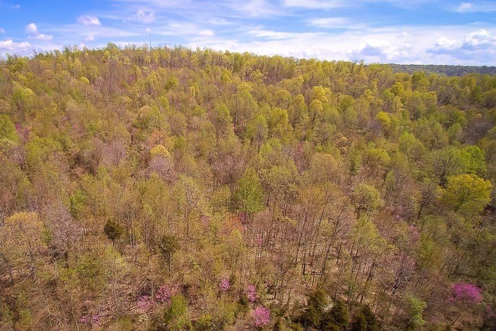 COOKEVILLE, Tennessee, 38506, United States, ,Land,Forsale,1886002