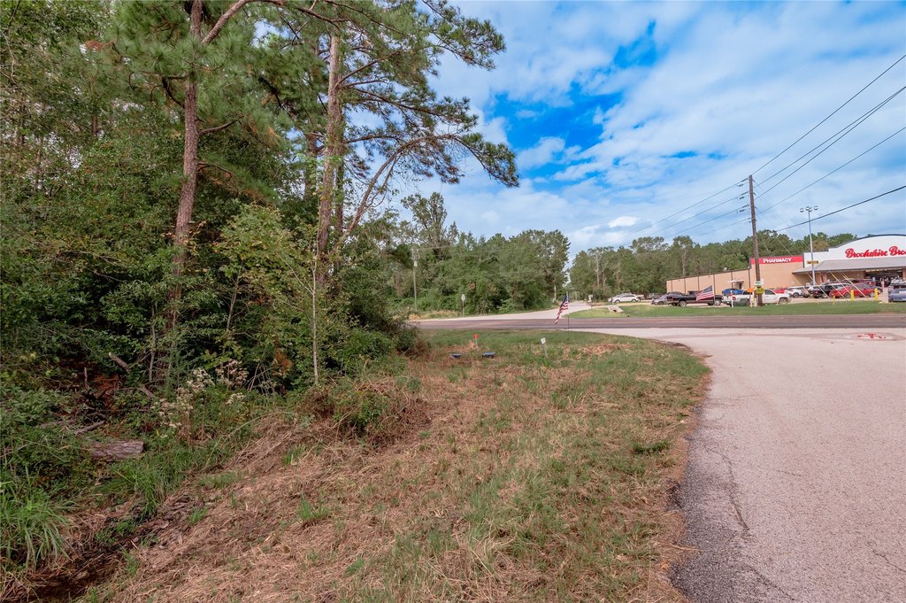 Onalaska, Texas, 77360, United States, ,Land,Forsale,1953046