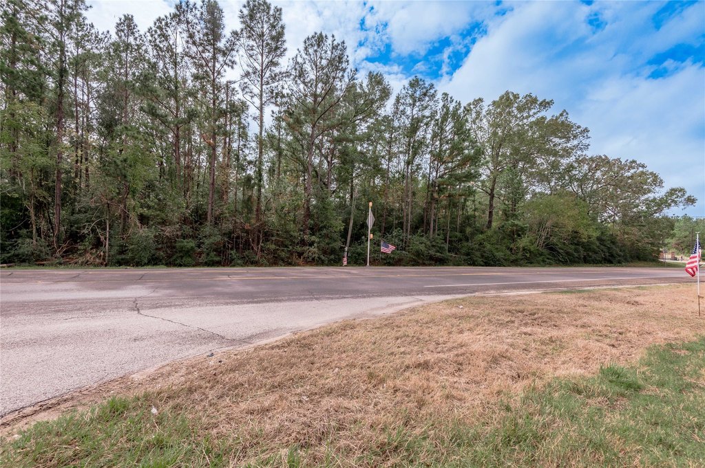 Onalaska, Texas, 77360, United States, ,Land,Forsale,1953046