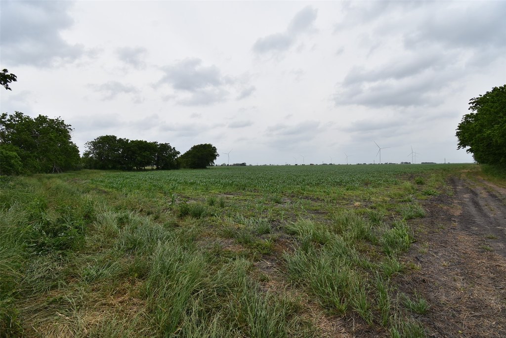El Campo, Texas, 77437, United States, ,Land,Forsale,1934868