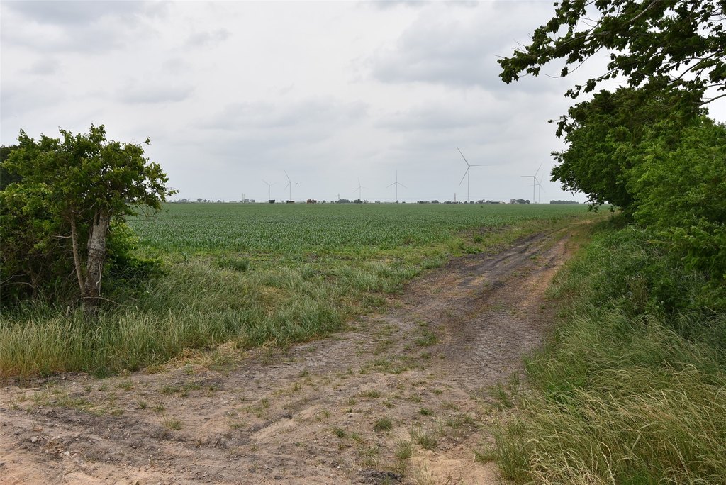 El Campo, Texas, 77437, United States, ,Land,Forsale,1934868