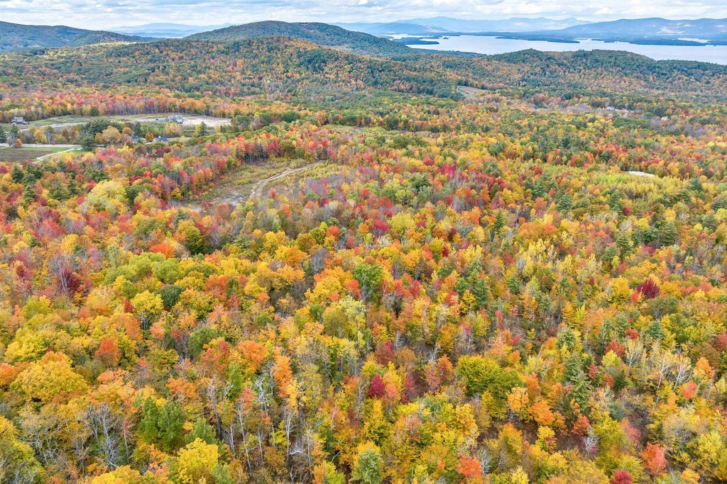Gilford, New Hampshire, 03249, United States, ,Land,Forsale,1968462