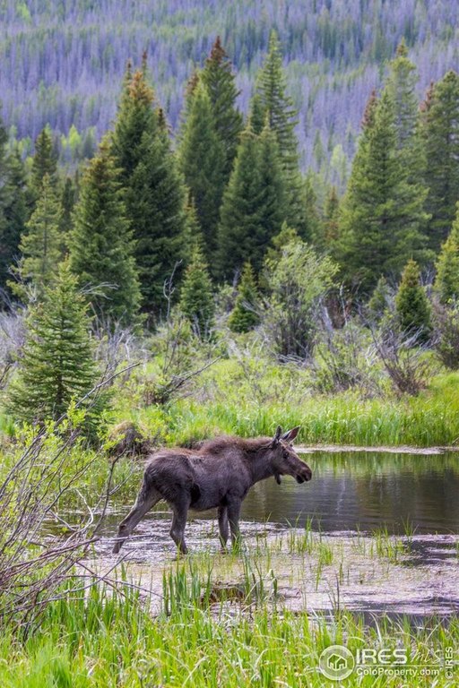 Estes Park, Colorado, 80517, United States, 3 Bedrooms Bedrooms, ,2.5 BathroomsBathrooms,Residential,Forsale,2004034