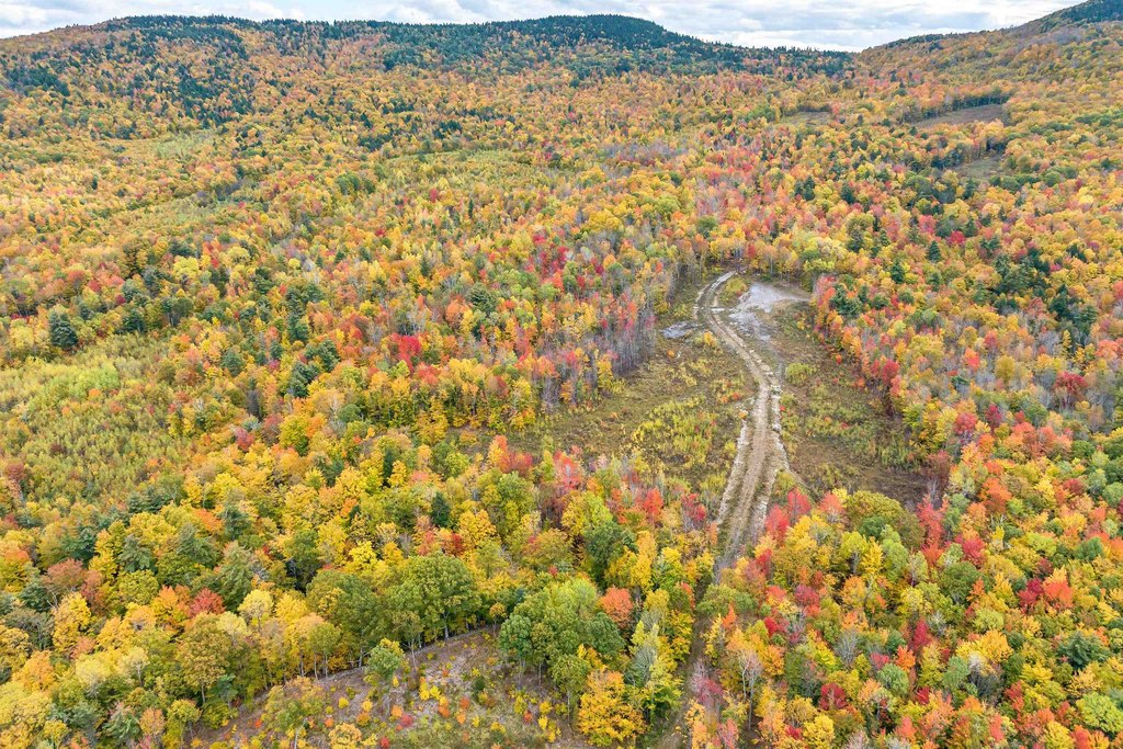 Gilford, New Hampshire, 03249, United States, ,Land,Forsale,1968462