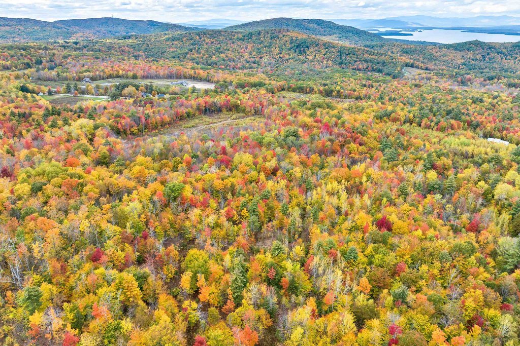Gilford, New Hampshire, 03249, United States, ,Land,Forsale,1968462