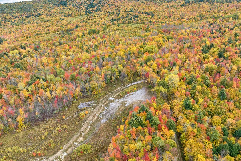 Gilford, New Hampshire, 03249, United States, ,Land,Forsale,1968462