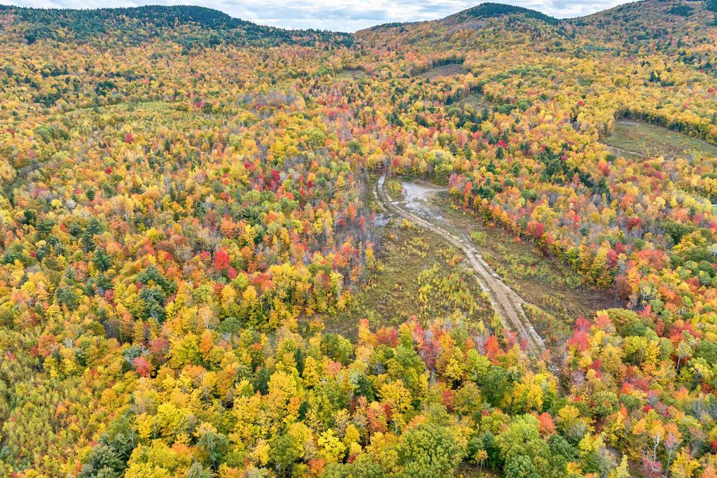 Gilford, New Hampshire, 03249, United States, ,Land,Forsale,1968462