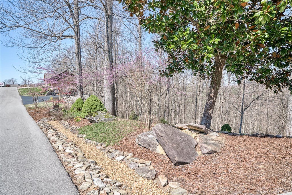 Byrdstown, Tennessee, 38549, United States, 3 Bedrooms Bedrooms, ,3 BathroomsBathrooms,Residential,Forsale,1886007