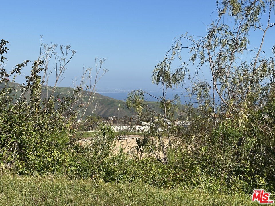 Malibu, California, 90265, United States, ,Land,Forsale,1985909