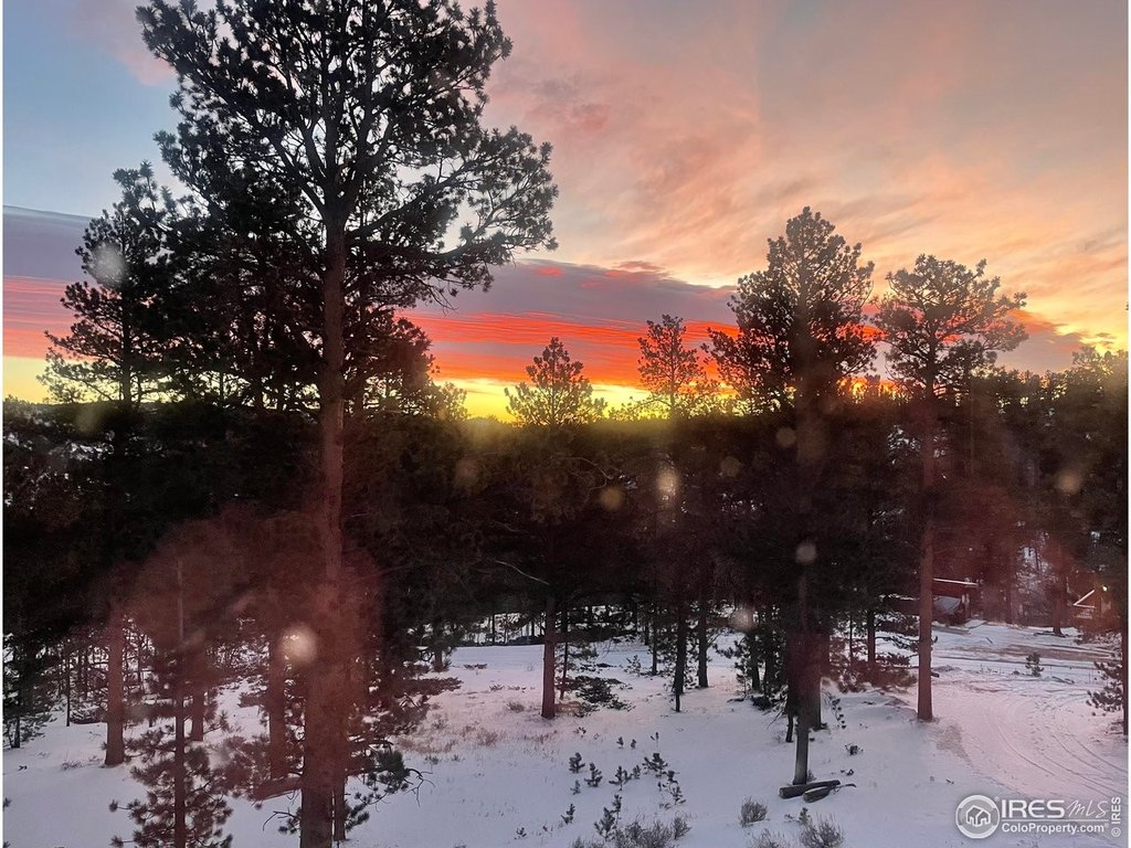 Red Feather Lakes, Colorado, 80545, United States, 4 Bedrooms Bedrooms, ,3.5 BathroomsBathrooms,Residential,Forsale,1918951
