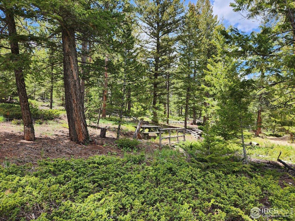 Red Feather Lakes, Colorado, 80545, United States, 4 Bedrooms Bedrooms, ,3.5 BathroomsBathrooms,Residential,Forsale,1918951