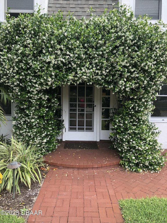 Daytona Beach, Florida, 32118, United States, 6 Bedrooms Bedrooms, ,4.5 BathroomsBathrooms,Residential,Forsale,1919151