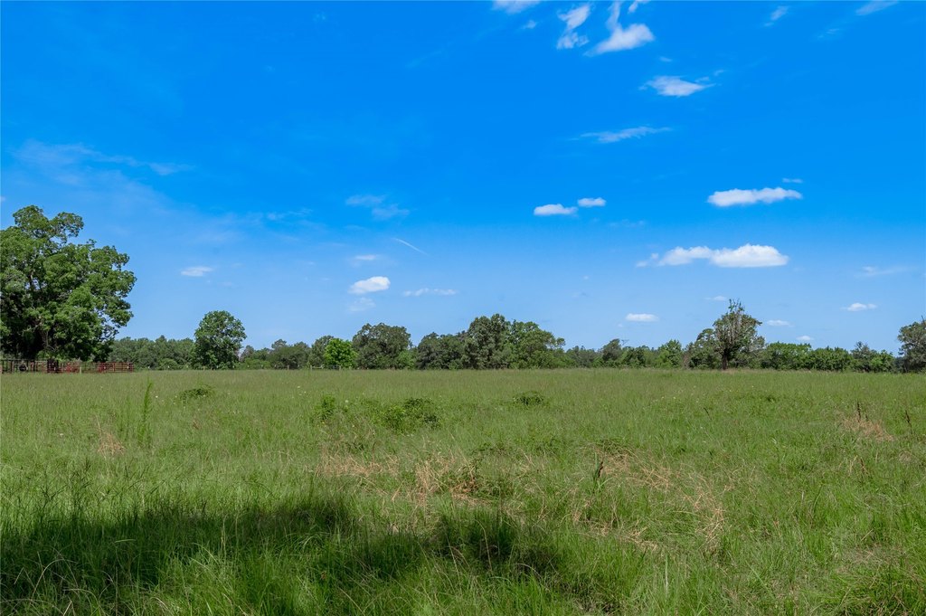 Kennard, Texas, 75847, United States, ,Land,Forsale,1889062