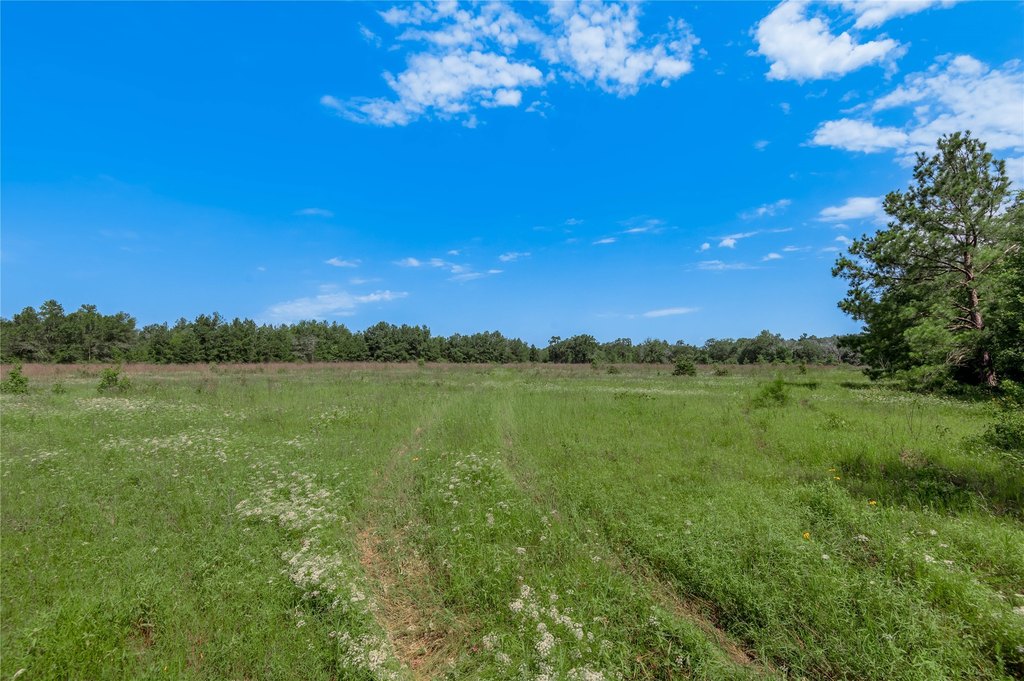 Kennard, Texas, 75847, United States, ,Land,Forsale,1889062
