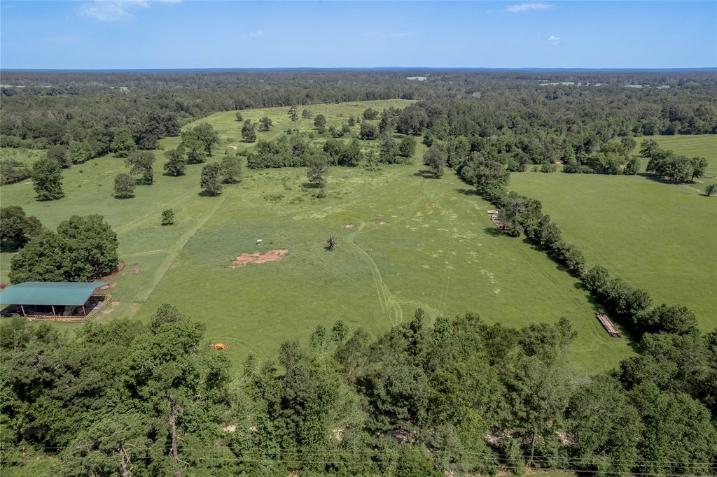 Kennard, Texas, 75847, United States, ,Land,Forsale,1889062