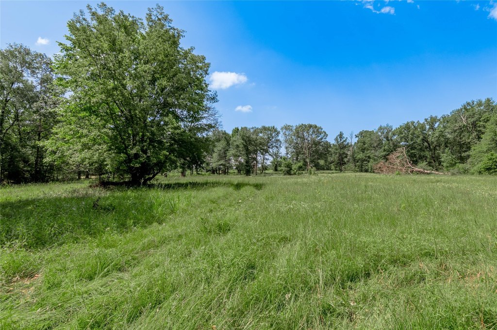 Kennard, Texas, 75847, United States, ,Land,Forsale,1889062