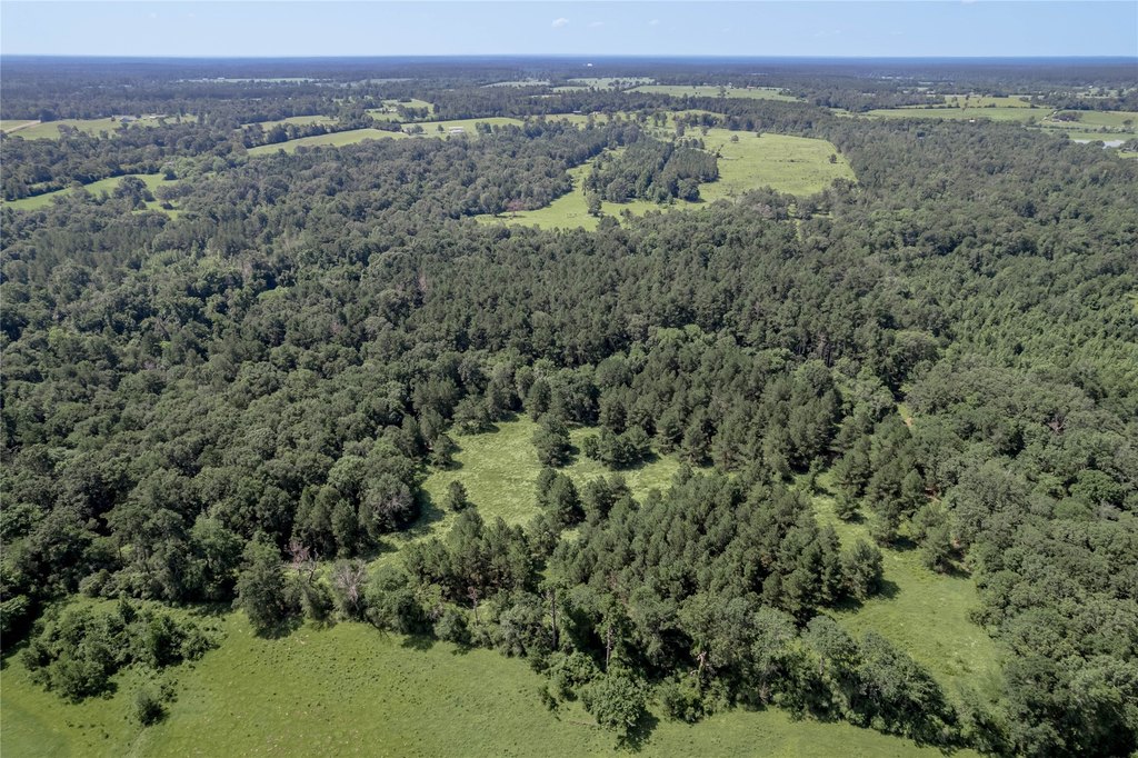 Kennard, Texas, 75847, United States, ,Land,Forsale,1889062