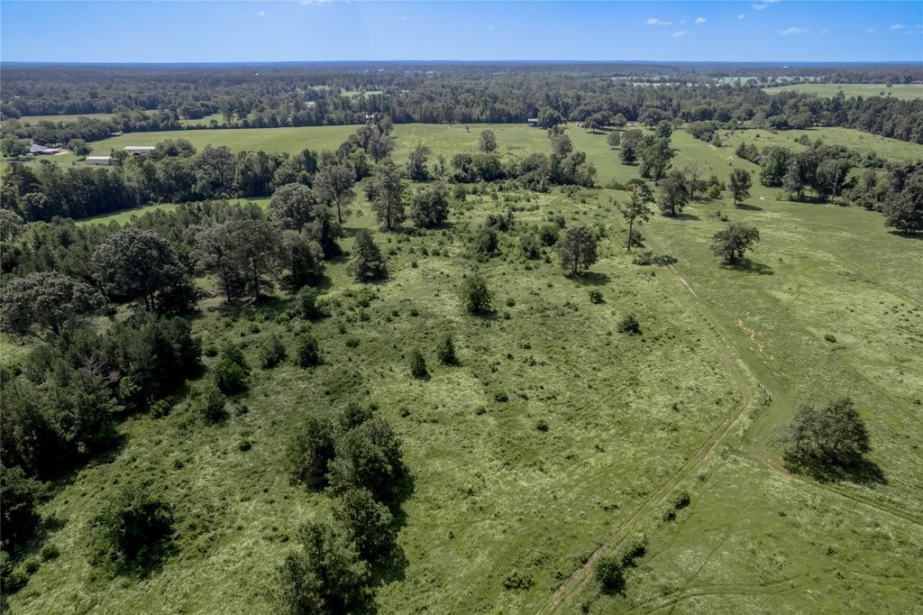 Kennard, Texas, 75847, United States, ,Land,Forsale,1889062
