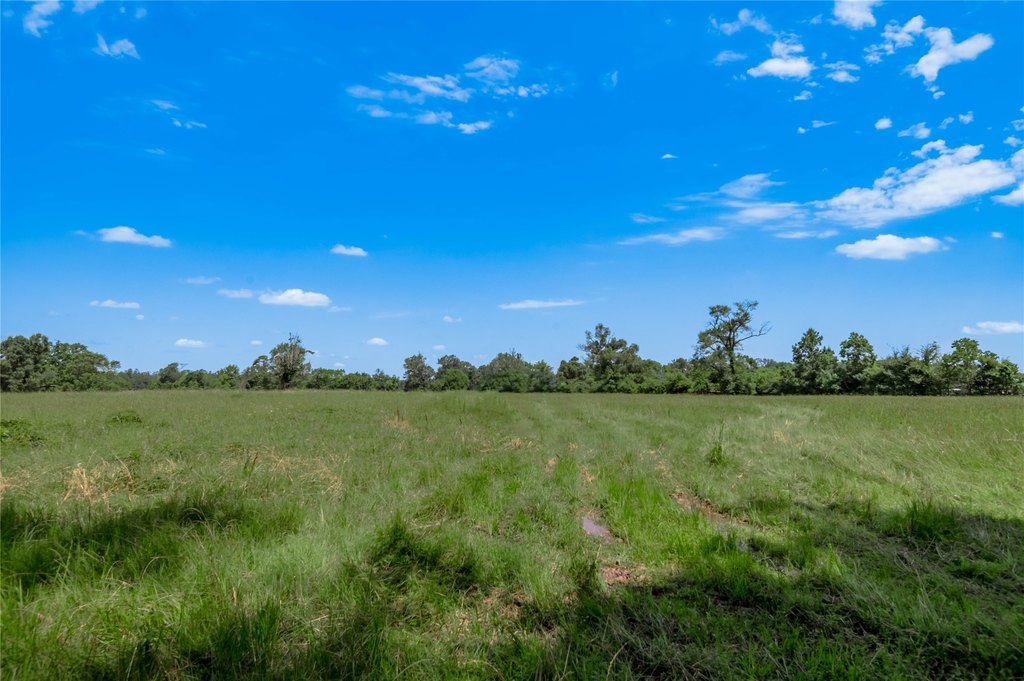 Kennard, Texas, 75847, United States, ,Land,Forsale,1889062