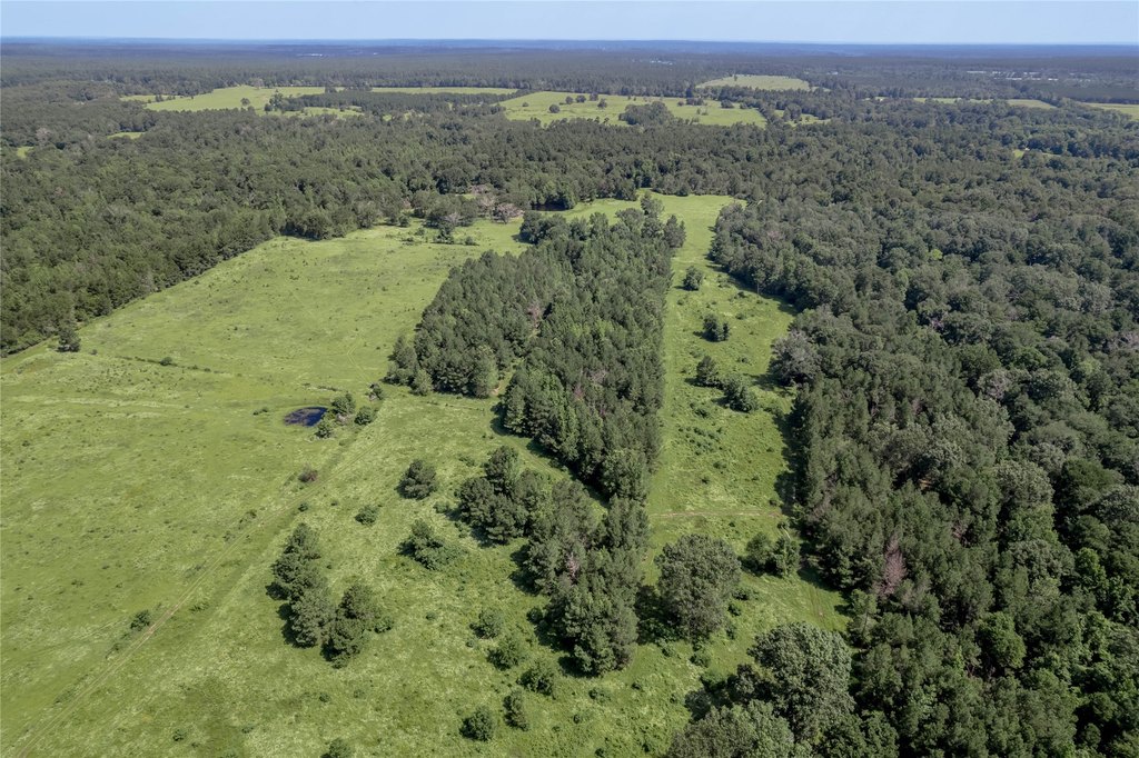 Kennard, Texas, 75847, United States, ,Land,Forsale,1889062