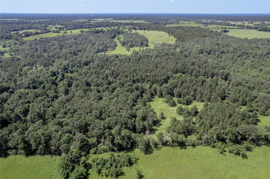 Kennard, Texas, 75847, United States, ,Land,Forsale,1889062