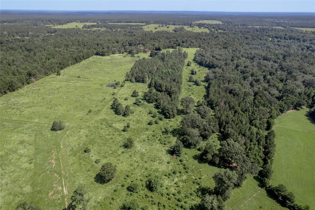 Kennard, Texas, 75847, United States, ,Land,Forsale,1889062