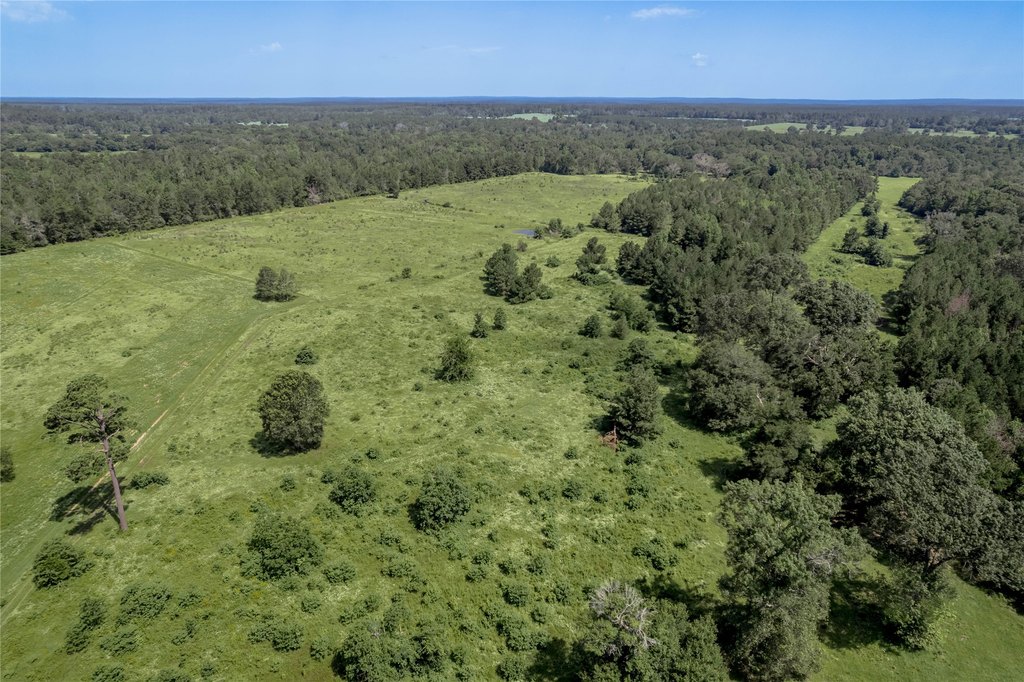 Kennard, Texas, 75847, United States, ,Land,Forsale,1889062