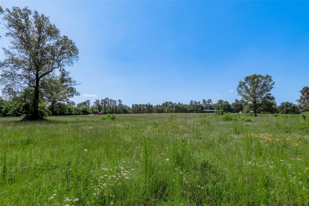 Kennard, Texas, 75847, United States, ,Land,Forsale,1889062