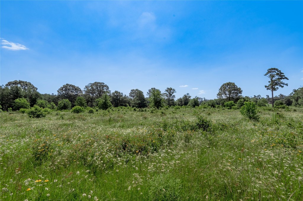 Kennard, Texas, 75847, United States, ,Land,Forsale,1889062