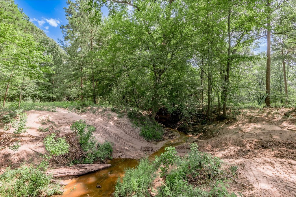 Kennard, Texas, 75847, United States, ,Land,Forsale,1889062