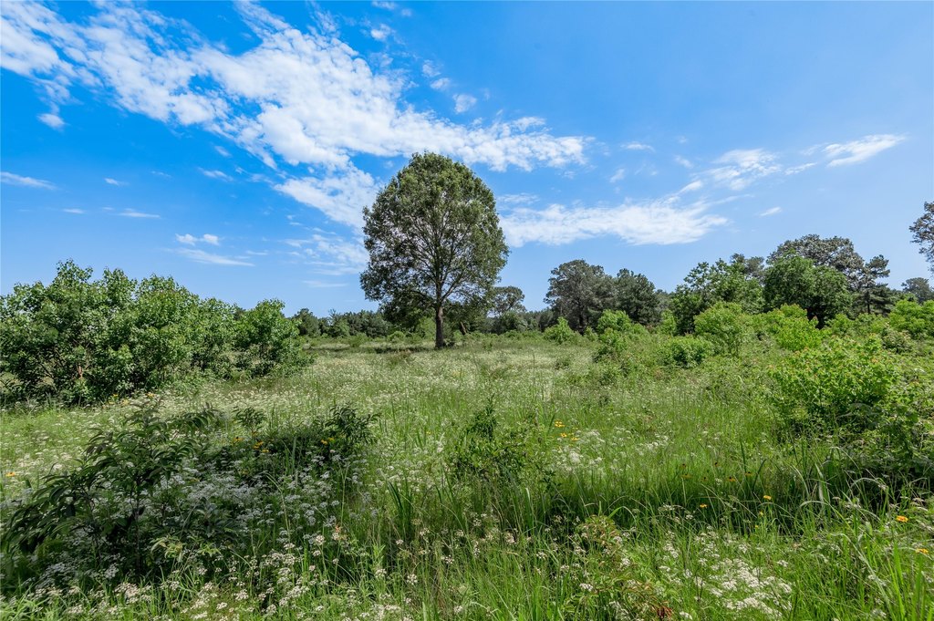 Kennard, Texas, 75847, United States, ,Land,Forsale,1889062