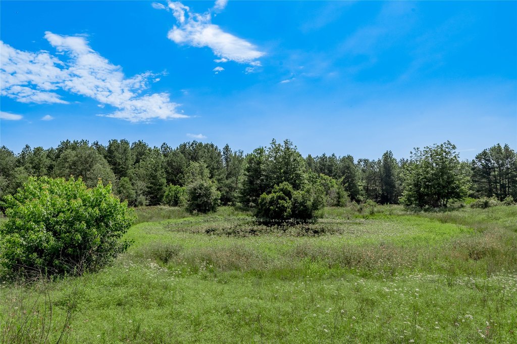 Kennard, Texas, 75847, United States, ,Land,Forsale,1889062