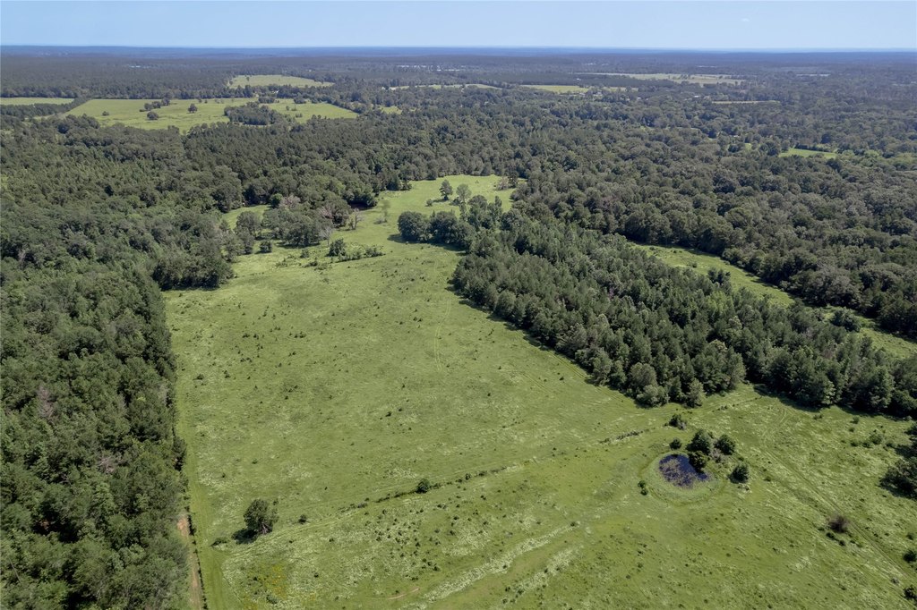 Kennard, Texas, 75847, United States, ,Land,Forsale,1889062