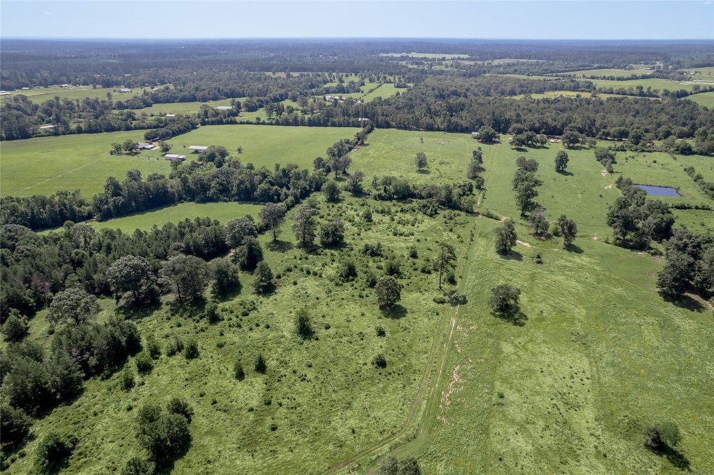 Kennard, Texas, 75847, United States, ,Land,Forsale,1889062