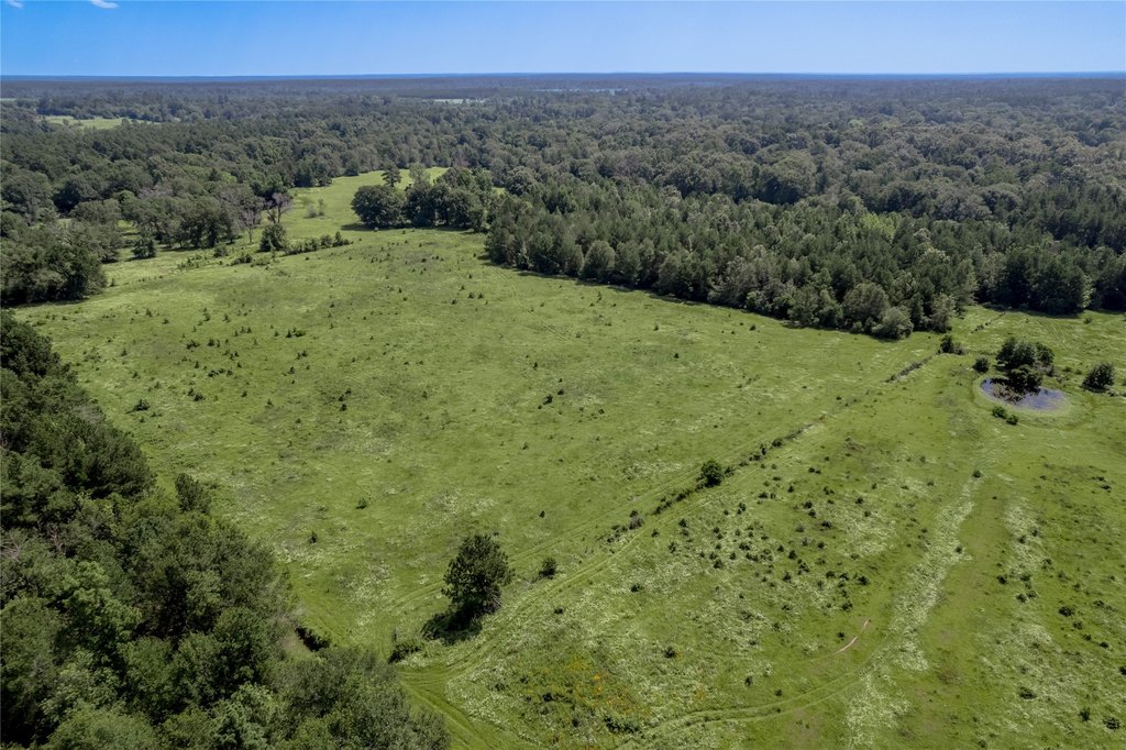 Kennard, Texas, 75847, United States, ,Land,Forsale,1889062