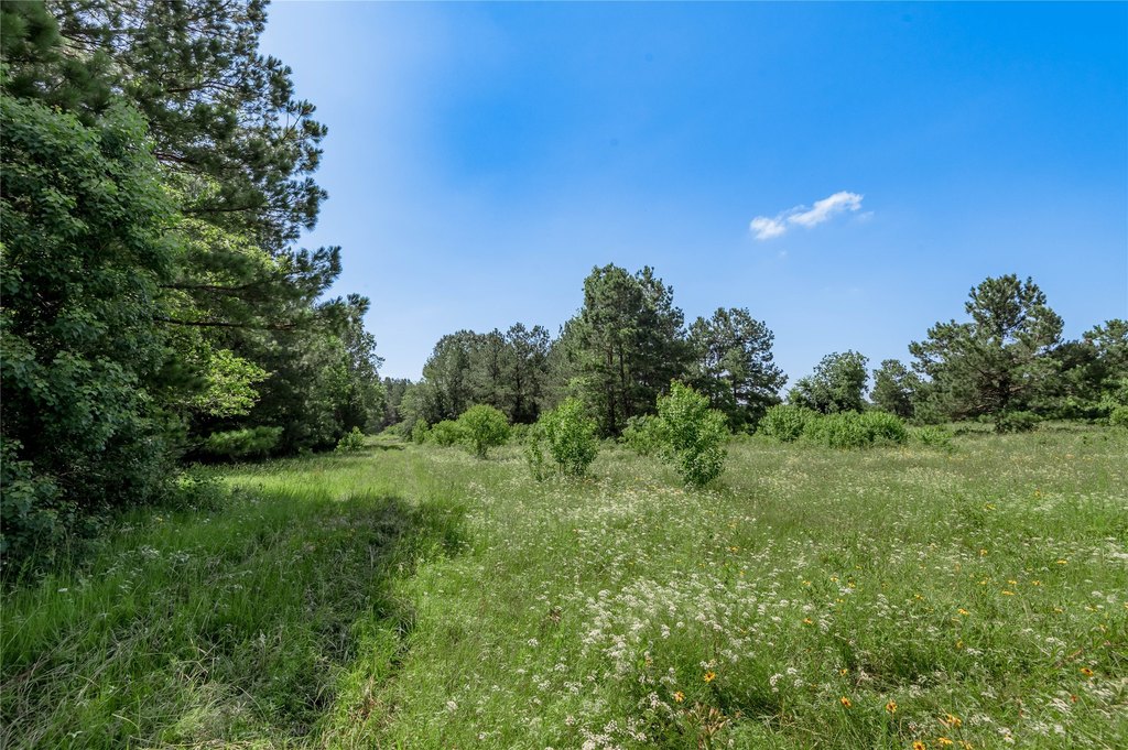 Kennard, Texas, 75847, United States, ,Land,Forsale,1889062