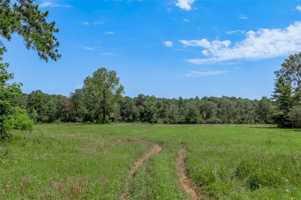 Kennard, Texas, 75847, United States, ,Land,Forsale,1889062