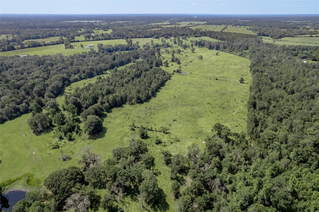Kennard, Texas, 75847, United States, ,Land,Forsale,1889062