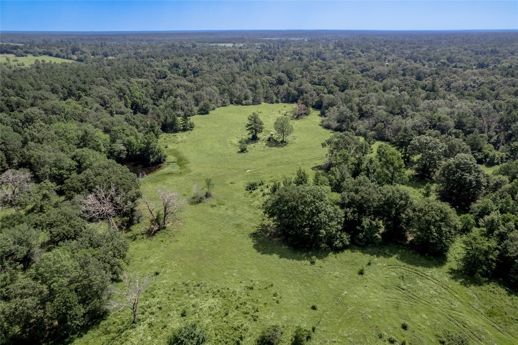 Kennard, Texas, 75847, United States, ,Land,Forsale,1889062