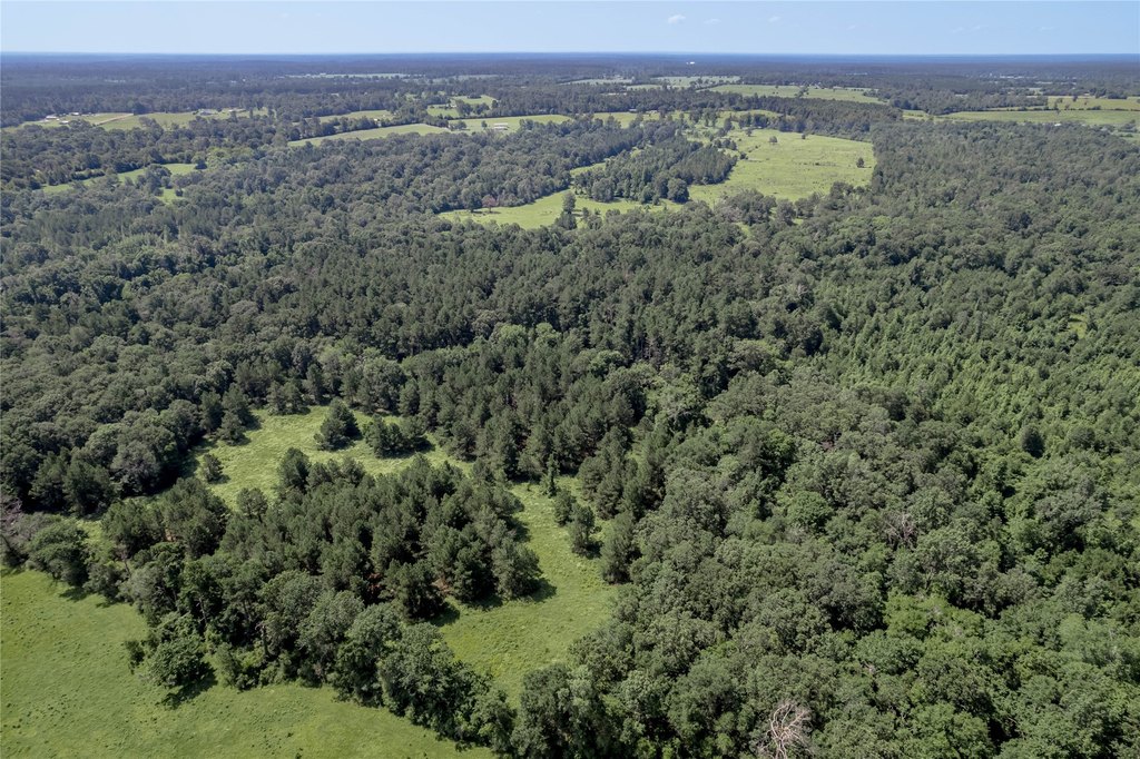 Kennard, Texas, 75847, United States, ,Land,Forsale,1889062