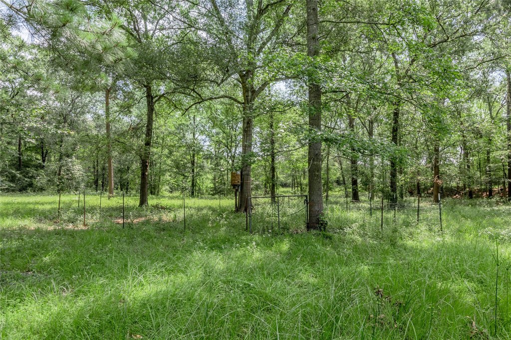 Kennard, Texas, 75847, United States, ,Land,Forsale,1889062
