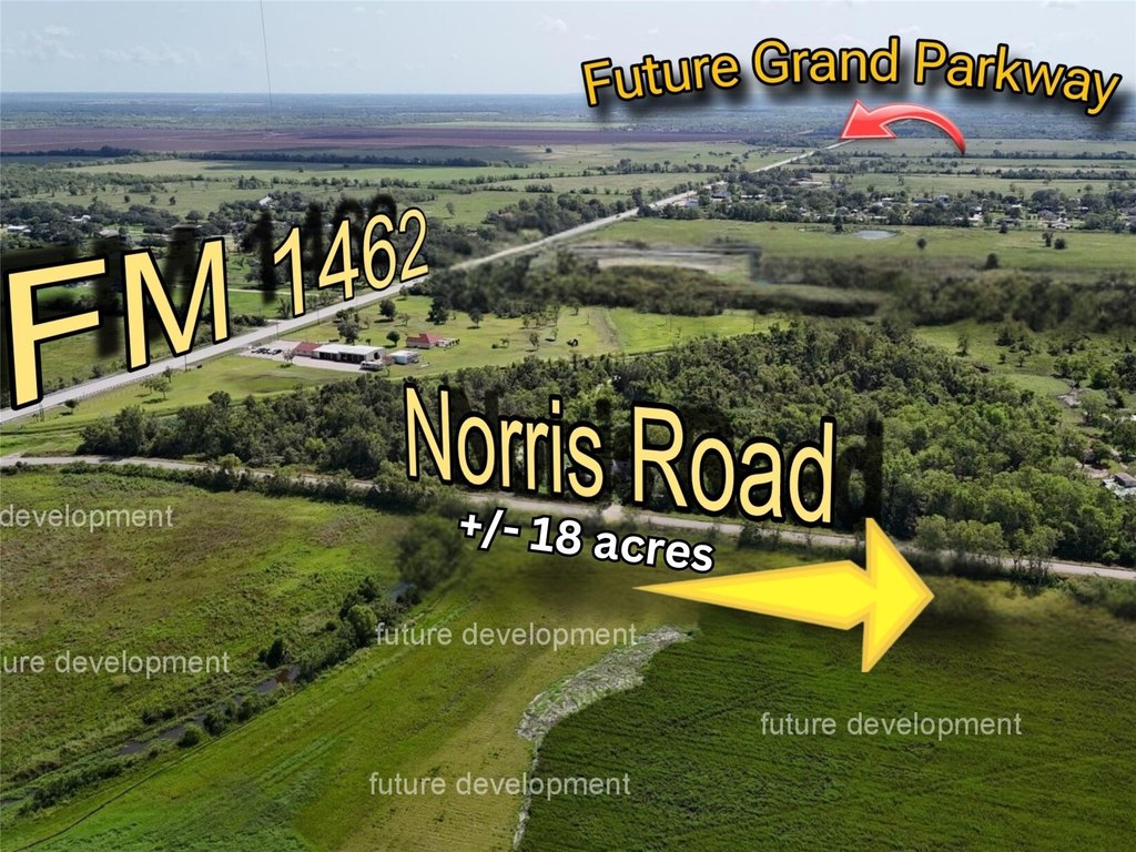 Rosharon, Texas, 77583, United States, ,Land,Forsale,1909988
