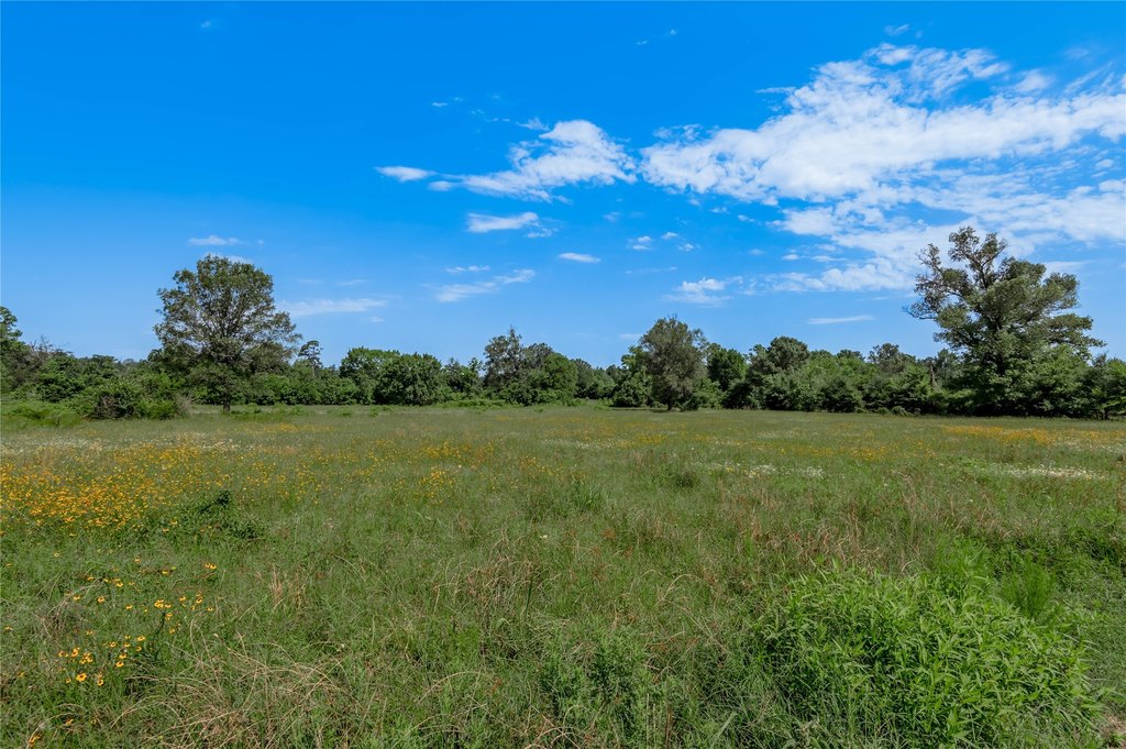 Kennard, Texas, 75847, United States, ,Land,Forsale,1889062