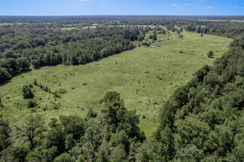 Kennard, Texas, 75847, United States, ,Land,Forsale,1889062