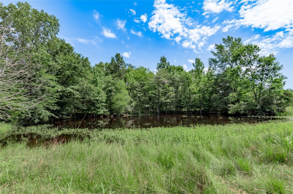 Kennard, Texas, 75847, United States, ,Land,Forsale,1889062