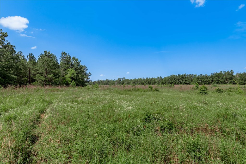Kennard, Texas, 75847, United States, ,Land,Forsale,1889062