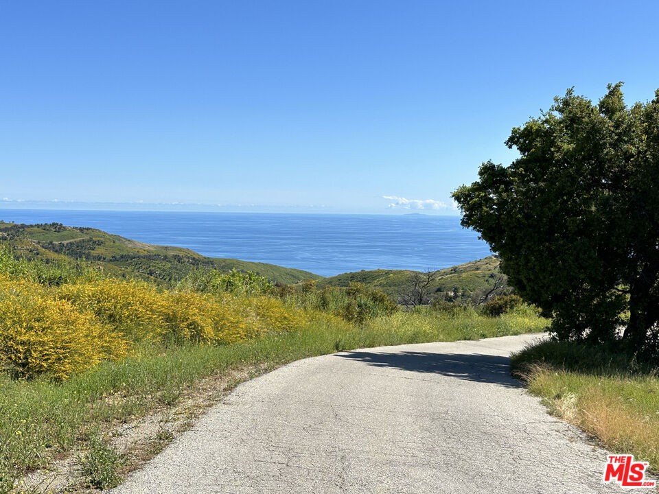 Malibu, California, 90265, United States, ,Land,Forsale,1922124