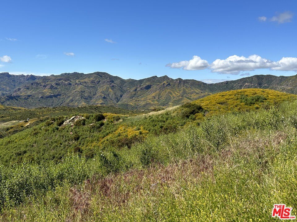 Malibu, California, 90265, United States, ,Land,Forsale,1922124