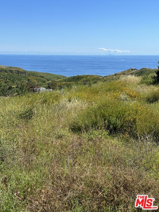 Malibu, California, 90265, United States, ,Land,Forsale,1922124