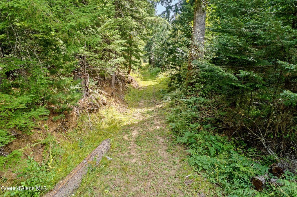 Kingston, Idaho, 83839, United States, ,Land,Forsale,1913910